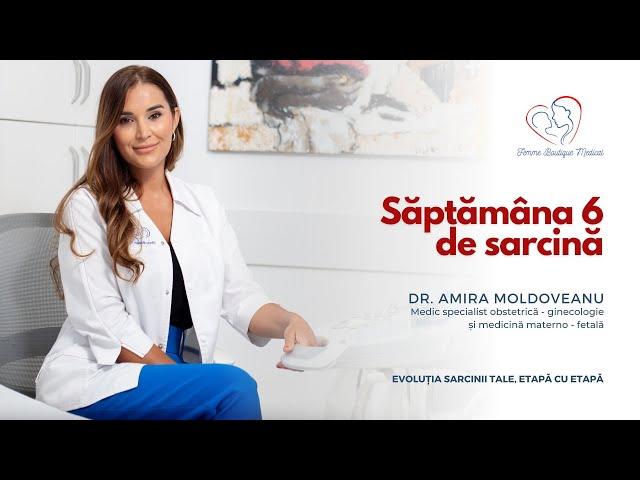 Săptămâna 6 de sarcină I Dr. Amira Moldoveanu I Femmeboutiquemedical.com