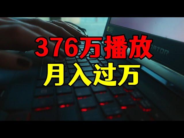 376万播放量收益19754元，这种题材自媒体视频，最适合新手开始做