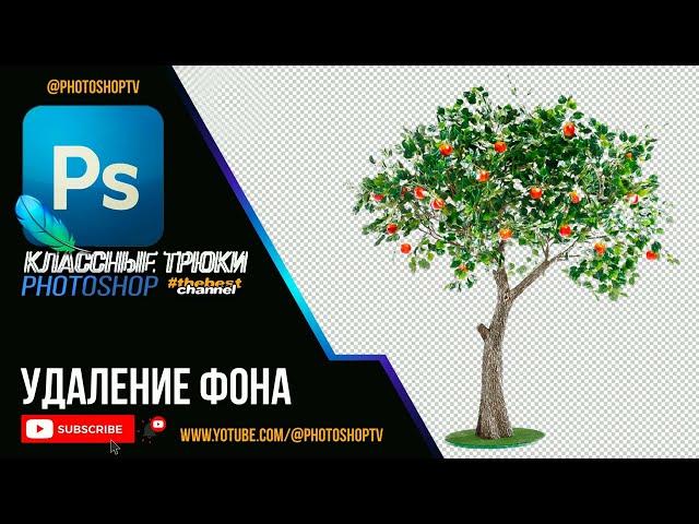 Удаление фона в 2 шага в Фотошопе при помощи каналов | Photoshop TV