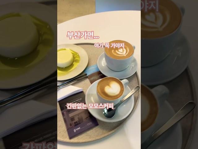 부산가면 여긴 꼭 가서 커피 한잔땡겨요 #모모스커피 #부산여행 #부산여행맛집 #부산여행추천 #부산커피#대존맛 #딸이랑