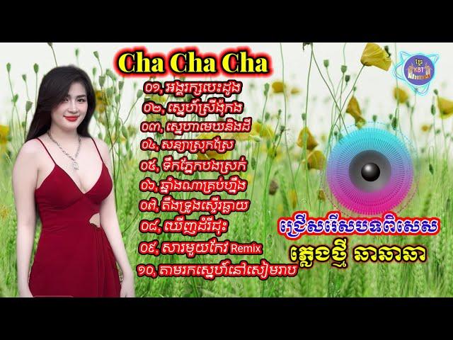 ជ្រើសរើសបទកំសត់ឆាឆាឆា | Nhạc khmer Cha Cha Cha 2025 | Nhạc khmer chọn lọc 2025 - Cover Lâm Thọi Song