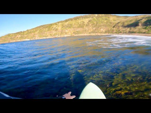 POV SURFING SUPER SHALLOW NOVELTY WAVE!!