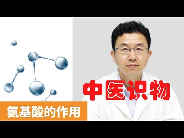 氨基酸的作用【保健養生】生生不息┃提高免疫力┃維持人體代謝