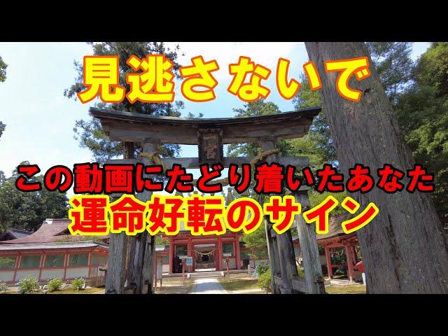 【パワースポット旅　出石神社/兵庫県豊岡市】この動画にたどり着いたあなたに運命好転の前兆が訪れる