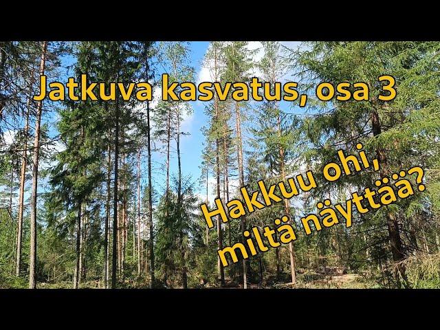 Jatkuva kasvatus, hakkuu ohi, osa 3. | Continuous cover silviculture, part 3