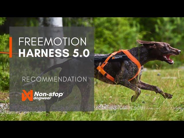 Freemotion harness 5.0