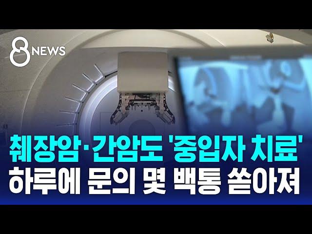 췌장암·간암도 '중입자 치료' 시작…하루에 문의 몇 백통 쏟아져 / SBS 8뉴스