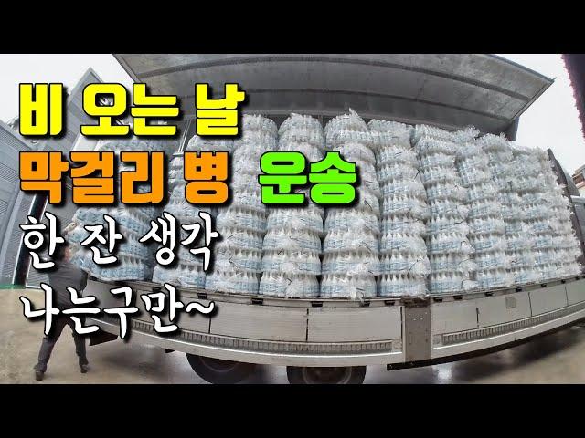 비오는 날 막걸리병 운송 - 한 사발 생각나네[EP.261 ]