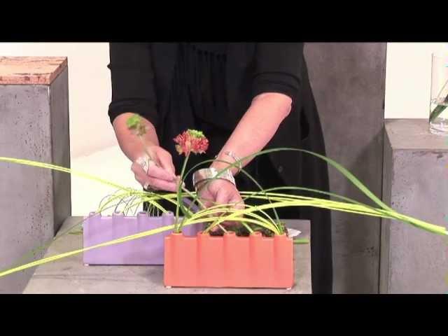 Accent Decor T2: Effortless Profit