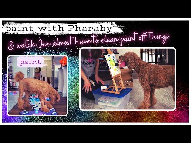 A Dog That Paints?! Pharaby’s Adorable Creative Process! #dogartist #paintingdog  #dogpainting