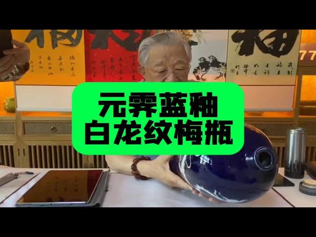 重器，元代霁蓝釉白龙纹梅瓶，藏友带来跟杨实老师鉴定探讨