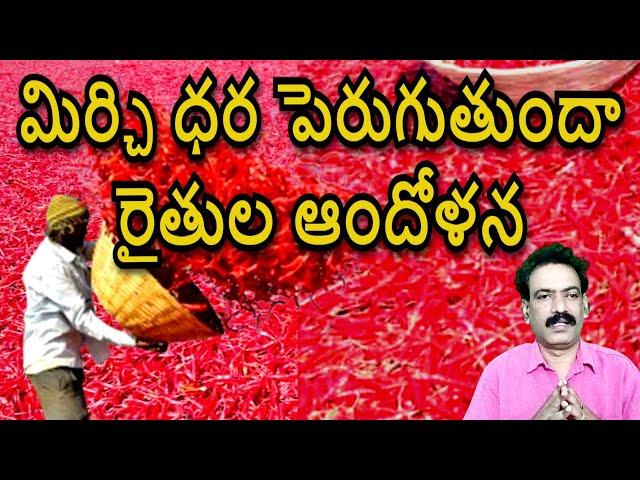 మిర్చికి ధర వస్తుందా Mirchi Market Report Guntur Mirchi Exports Chilli Rate Guntur Karam