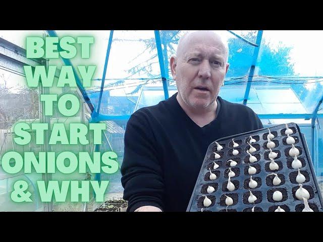 Easy Onion Sets How & Why?]   [Allotment Gardening UK] [Home Growing Veg & Flowers