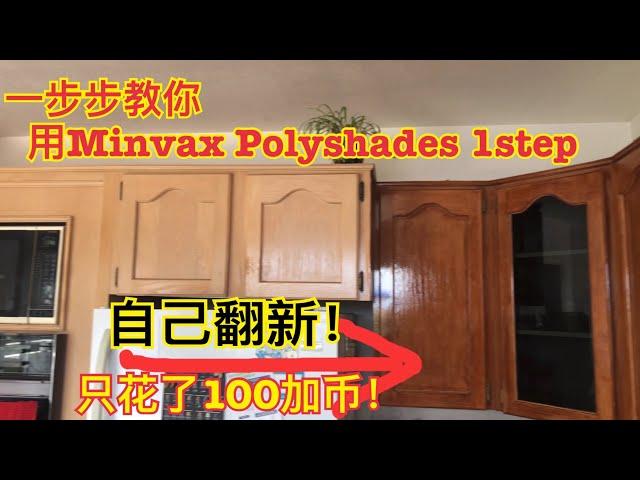 Living cost | Only $100! DIY my kitchen cabinet with Minwax Polyshades 1 step for a good result