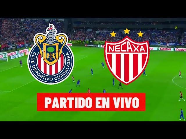 Vengan Vengan con Dani Mollo en VivoLa previa de Chivas Necaxa