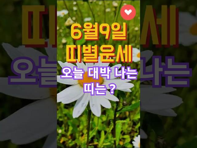 6월9일 띠별운세   #하루1분꿀팁 #지식 #생활정보 #운세