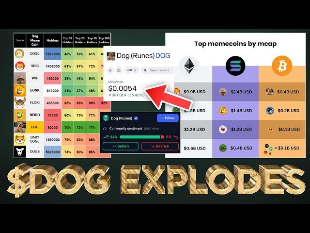 $DOG (Rune) hits $540M Market Cap  (What's Next?)