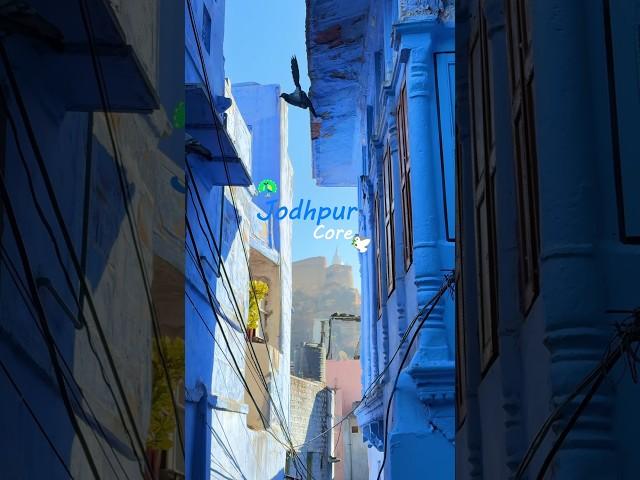 Jodhpur Core ️