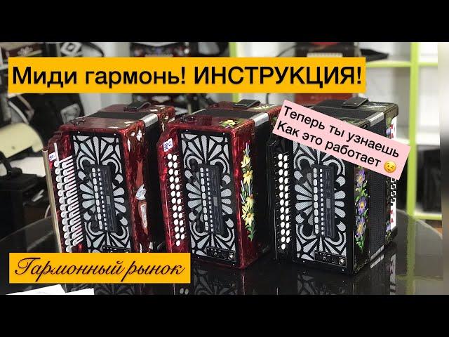 Миди гармонь. Инструкция | Демонстрация