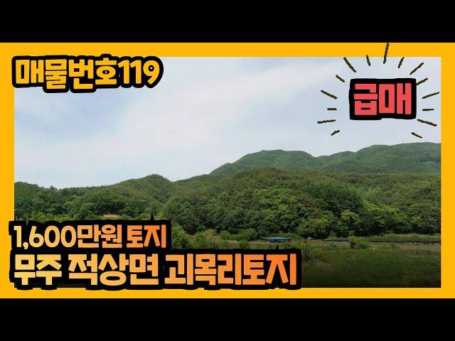 #119. (급매)가격조정1600만원 토지매매