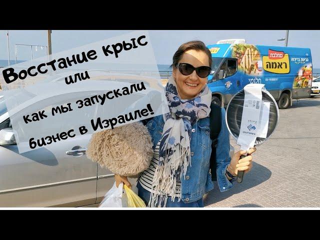 Восстание крыс или как мы запускали бизнес в Израиле!