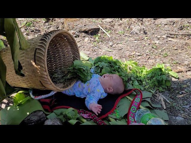 Go to the field to see the vegetables and pull weeds, good child, mother can do the work