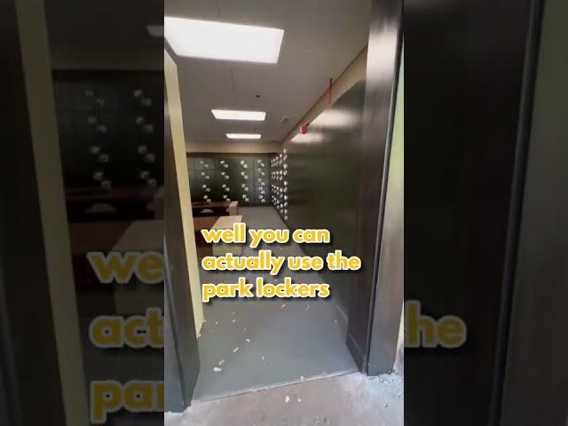 Disney Park Lockers (For All Your Extra Stuff!)