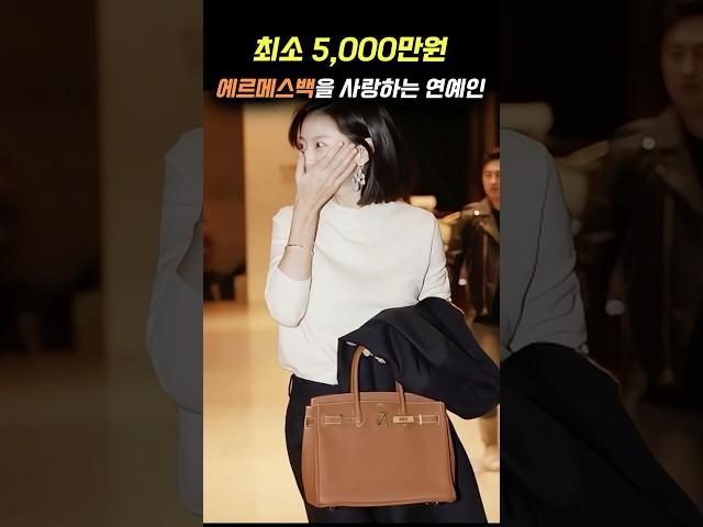 최소 5,000만원 에르메스백을 사랑하는 연예인
