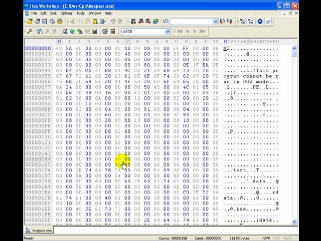 Reverse Engineering 101 ( Using A Hex Editor To Find Passwords )