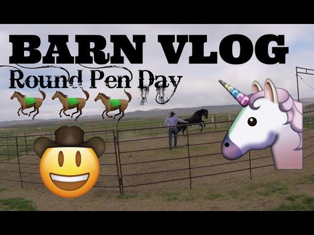 BARN VLOG- ROUND PEN DAY