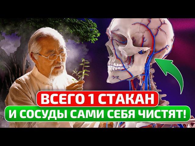 Смотрите, как я легко чищу сосуды от бляшек и тромбов!