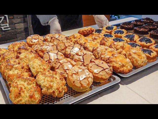 스콘덕후에서 스콘맛집 사장님의 다양한 스콘 만들기 l Korean Street Food - Satisfying Scone Making