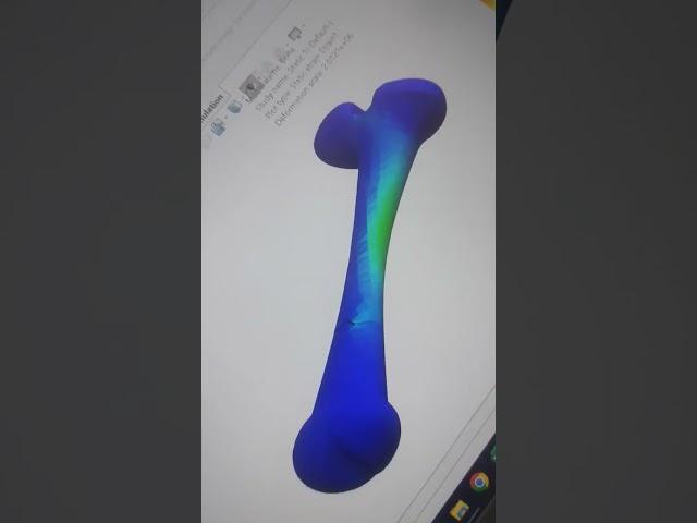 Bone simulation | solidworks