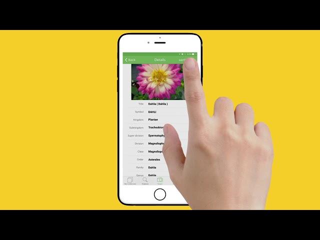 PlantSnap iPhone instructional video - landscape