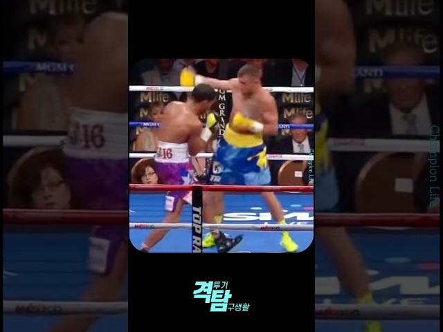 The boxing legend, Lomachenko