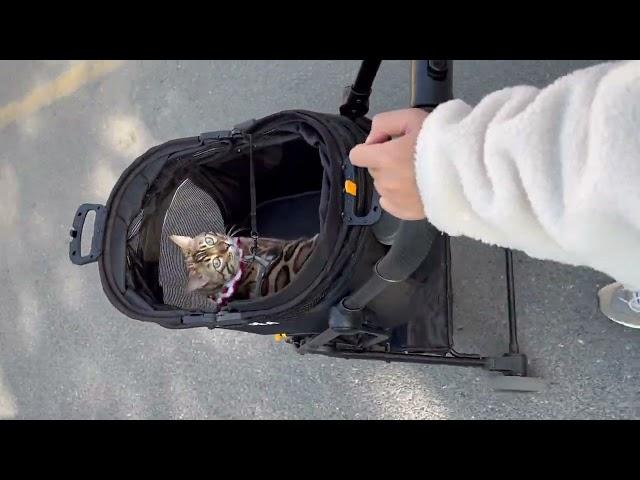 PAWZIDEA Best Dog Strollers 4 in 1 Pet Travel System, Easy Detachable Carrier