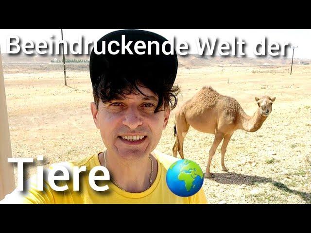 Beeindruckende Welt der Tiere