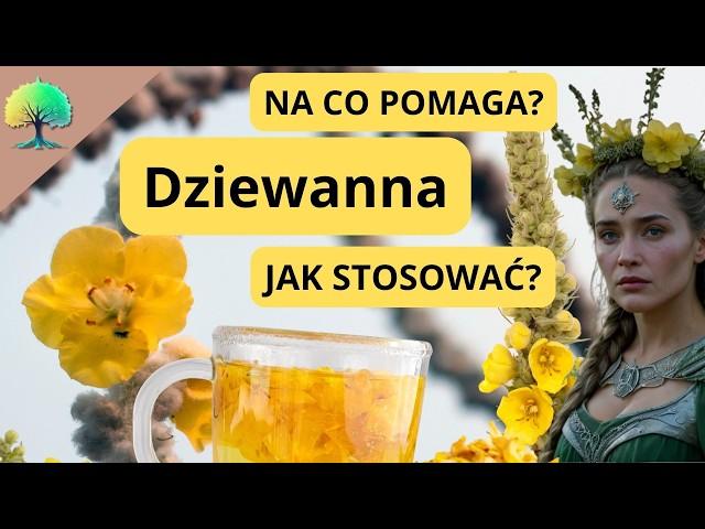 Dziewanna: sekret młodości, urody i zdrowia. Zdumiewające Fakty o Dziewannie, Które Cię Zaskoczą!