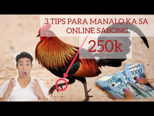 3 TIPS KUNG PAANO MANALO SA ONLINE SABONG #onlinesabong