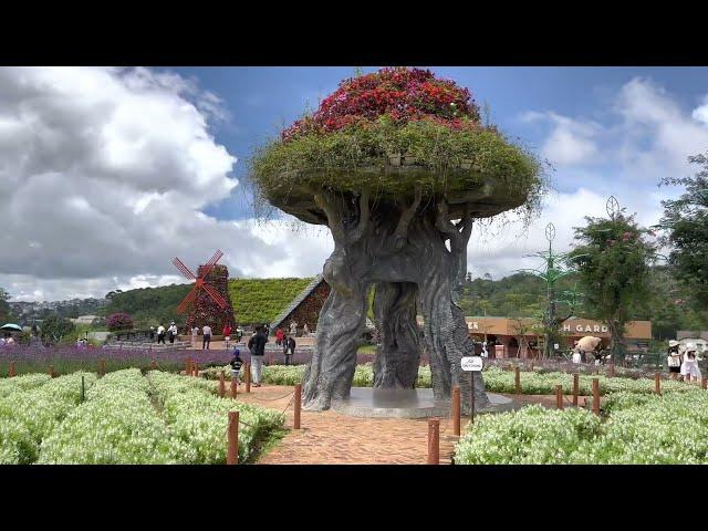 Soak in flowers to relax at Fresh Garden Dalat