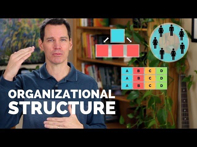 Organizational Structure