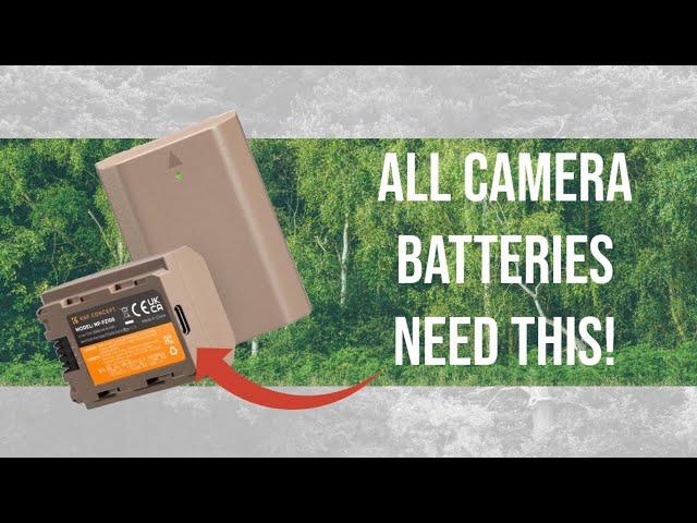 K&F Concept - Sony Camera Battery with USB C - Review - Woodland Photography - Summer Greens