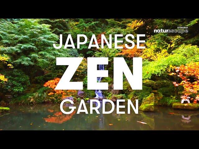 Meditate in the Portland Japanese Garden | 1 Hour of relaxing ASMR Sounds