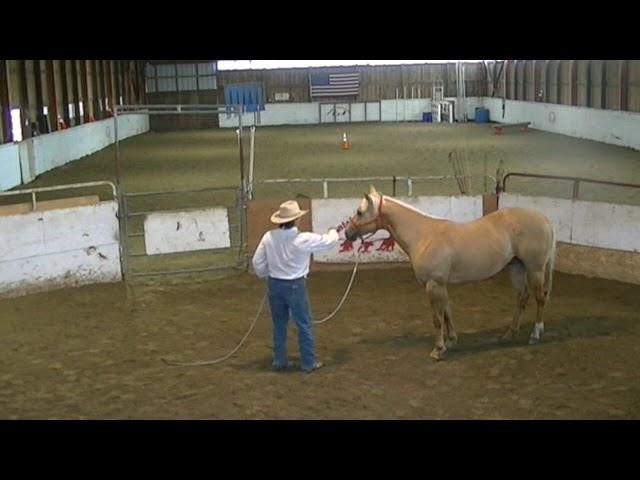 Round Pen - Day One