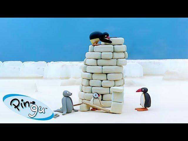 Pingu Builds a Tower  | Pingu - Official Channel | Cartoons For Kids