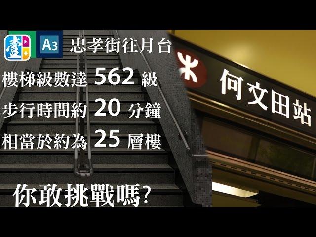 《港鐵癲梯》實試何文田站562級樓梯！後生仔慘叫好沮喪