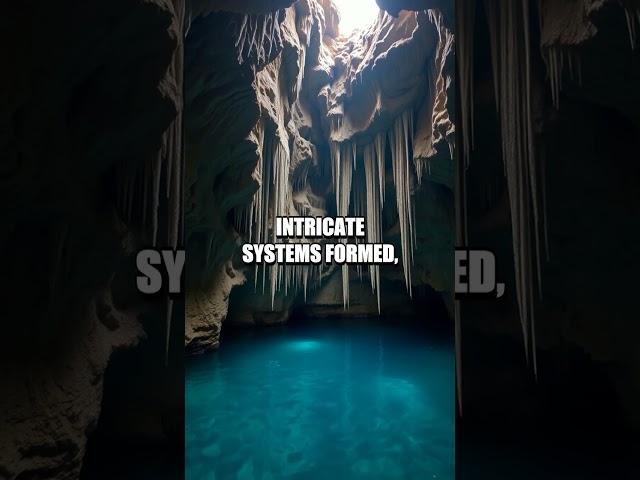 The Secrets Beneath Mexico's Cenotes