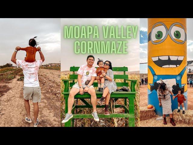 MOAPA VALLEY CORNMAZE | 55 mins from LAS VEGAS STRIP