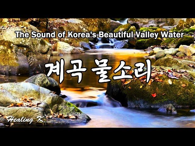 4k 계곡 물소리 ASMR | The Sound of Korea's Beautiful Valley Water | Relaxing Nature Healing