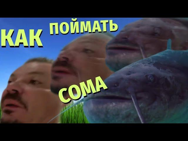 Как поймать Сома Сергея Симонова за язык